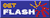 Flash Player Logo